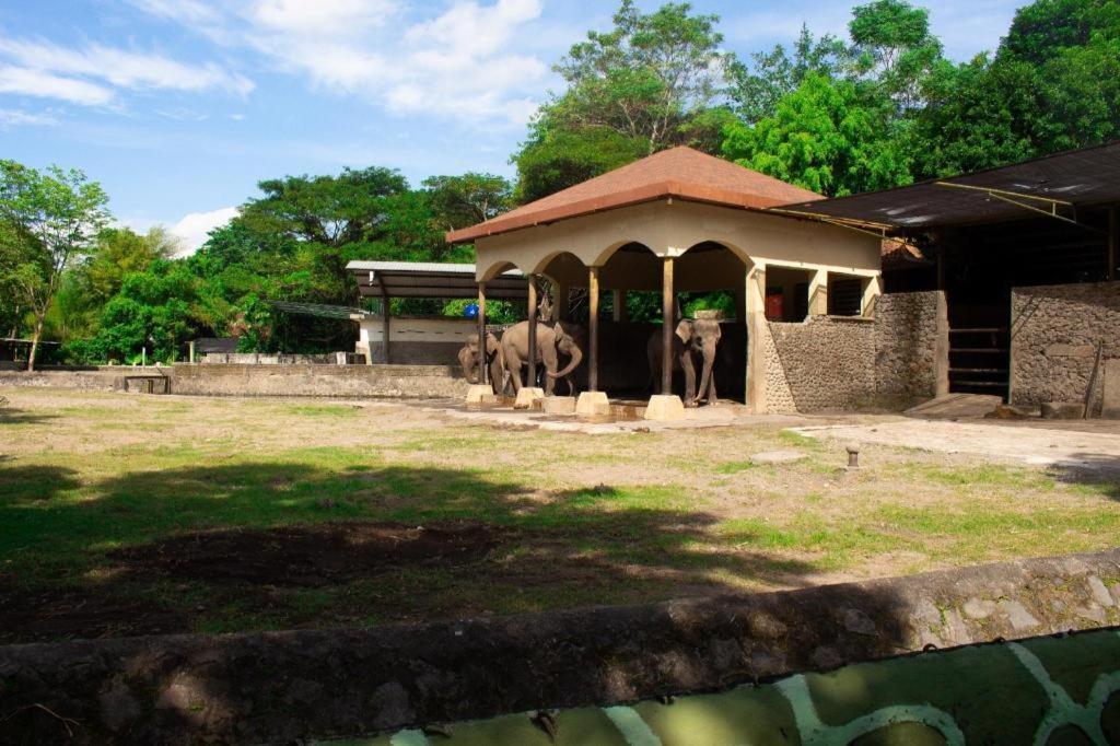 Ceria Boutique Hotel Yogyakarta Luaran gambar